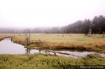 IMG_0623 IMG_0623