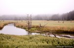 IMG_0628 IMG_0628