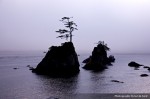 IMG_0656 IMG_0656