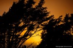 IMG_0709 IMG_0709