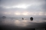 IMG_0754 IMG_0754