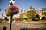 IMG_0957 IMG_0957