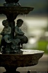 IMG_4635 IMG_4635