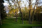 IMG_5046 IMG_5046