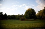 IMG_5047 IMG_5047