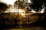 IMG_5058 IMG_5058