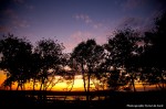IMG_5079 IMG_5079