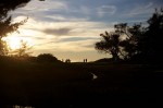 IMG_7397