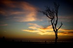 IMG_7429