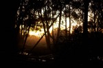 IMG_7452