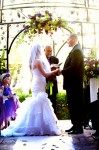 IMG_3678 IMG_3678