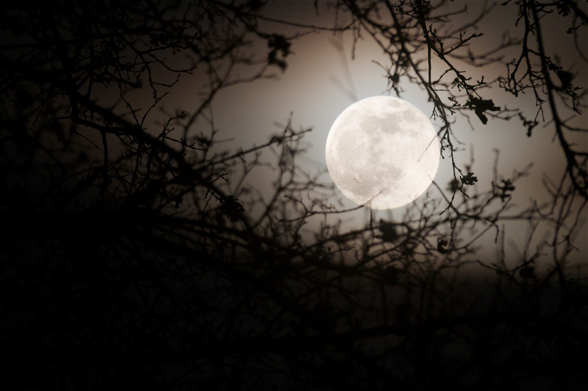 The last Moonrise of 2009