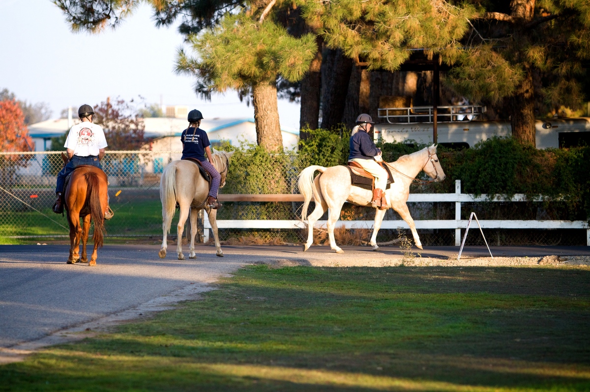 Getting used to our new Neighborhood