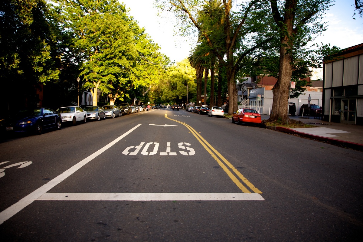 Sacramento in the Spring