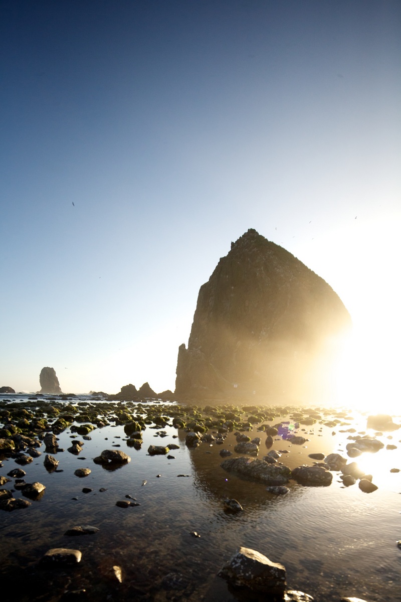 Think Tank Photo Bags (after the honeymoon)
